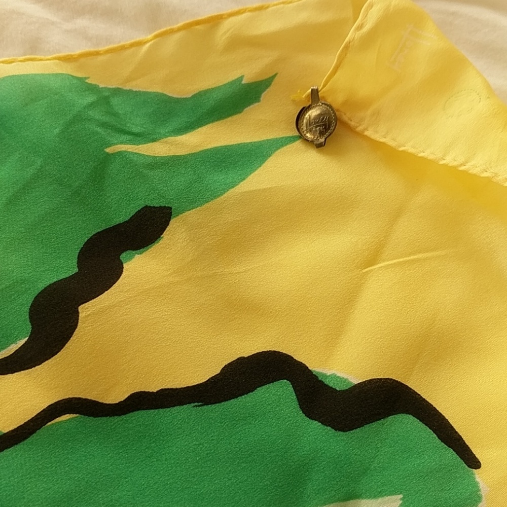 SILK SCARF! - Picture 8 of 8